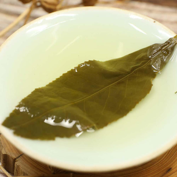 CIFbuy 2023 Fresh High Mountain Oolong Tea, Taiwan Lishan, Taiwanese Oolong Tea 150g
2023年高山新鲜乌龙茶，台湾梨山，台湾乌龙茶150克