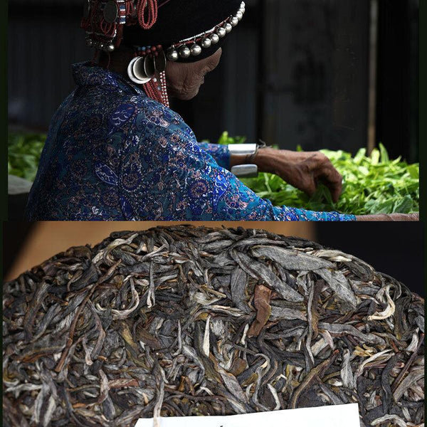 CIFbuy Haiwan Pa Sha Ancient Tree Puer Tea Aged Tree Sheng Puerh Tea 500g