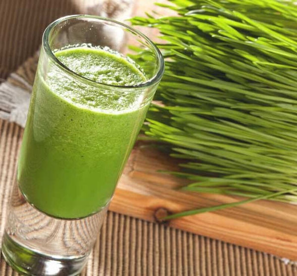 HelloYoung 250g Organic Barley Grass Powder Gluten Free Non-GMO Superfood Organic Barley Low Carb Diabetic Friendly e for weight loss