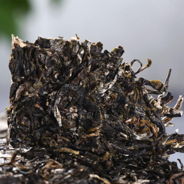 CIFbuy Yunnan Green Tea Spring Raw Pu-erh Old Tree Brick 250g