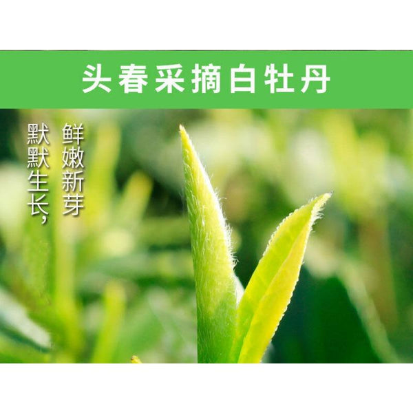 CIFbuy 350g Fuding White Tea White Peony White Tea Cake Alpine Panxi First Spring Tea