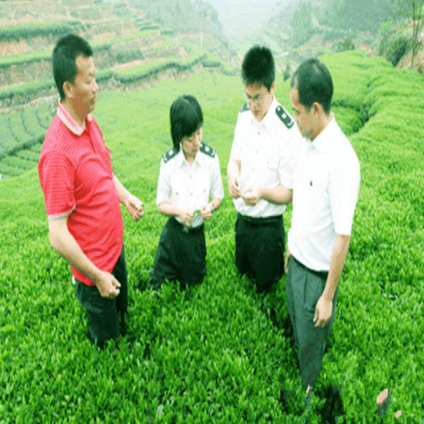 CIFbuy Premium Charcoal Baked Tie Guan Yin * Roast Oolong Tea Green Tea
