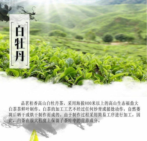 CIFbuy 500g Premium Organic Bai Mu Dan White Peony White Tea Spring Tea Loose Leaf Tea