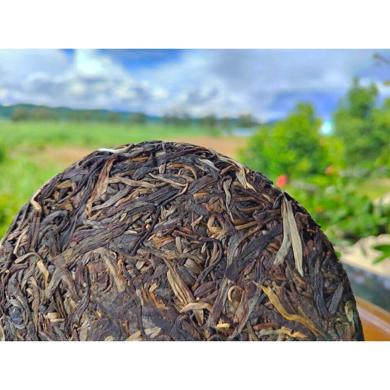 CIFbuy 200g Yiwu Pu-erh Tea Old Raw Tea Tianmen Mountain High Pole Pu-erh Old Cake Tea