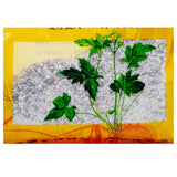 Wawasan Pharmaceuticals Chinese Medicine Drinks Amethyst Crushed Chinese Herbs Chinese Herbal Medicine Shop Complete List 瓦屋山药业中药饮片 紫石英 碎块 中药材抓配 中药材店铺大全