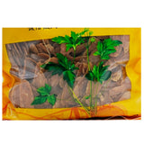 Wawashan Pharmaceuticals Chinese Medicine Tablets Red Ginseng Tablets Chinese Herbal Medicine Shop瓦屋山药业中药饮片 红参片 片 中药材抓配 中药材店铺大全