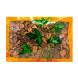 Wawasan Pharmaceuticals Chinese Herbal Drinks Bran Fried Cangzhu Bran Fried First Class Chinese Herbal Medicine Chinese Herbal Shop Directory瓦屋山药业中药饮片 麸炒苍术 麸炒一等 中药材 中药材店铺大全