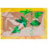 Wawasan Pharmaceuticals Chinese Herbal Drinks Drabanemerosa hebecarpa Herbal Medicine Net Preparation Chinese Herbal Medicine Grab & Go Chinese Herbal Medicine Shop 瓦屋山药业中药饮片 葶苈子 净制 中药材抓配 中药材店铺大全