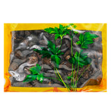 瓦屋山药业中药饮片 土鳖虫 净制 中药材抓配 中药材店铺大全