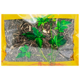 Wawashan Pharmaceuticals Chinese Medicine Drinks Northern Liu Yunu Duan Chinese Herbal Medicine Grabbing and Dispensing Chinese Herbal Medicine Shop Book瓦屋山药业中药饮片 北刘寄奴 段 中药材抓配 中药材店铺大全