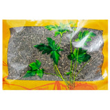 Wawashan Pharmaceuticals Chinese Medicine Drinks White Flower Snake Tongue Herb Duan Chinese Herbal Medicine Grabbing and Dispensing Chinese Herbal Medicine Shop Complete List瓦屋山药业中药饮片 白花蛇舌草 段 中药材抓配 中药材店铺大全