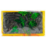 Wawasan Pharmaceuticals Chinese Herbal Drinks Cicer arietinum Fruit Pure Chinese Herbal Remedies Chinese Herbal Shop Complete List 瓦屋山药业中药饮片 西青果 净制 中药材抓配 中药材店铺大全