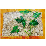 瓦屋山药业中药饮片 橘络 净制 中药材抓配 中药材店铺大全