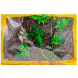 Wawasan Pharmaceuticals Chinese Herbal Drinks Cornu Cervus Pantotrichum Flesh Chinese Herbal Remedies Chinese Herbal Medicine Shop瓦屋山药业中药饮片 山萸肉 肉 中药材抓配 中药材店铺大全