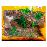 Wawasan Pharmaceuticals Chinese Herbal Drinks Stir-fried Golden Cherry Seed Pork Stir-fried Chinese Herbal Medicine Chinese Herbal Shop Directory瓦屋山药业中药饮片 炒金樱子肉 清炒  中药材 中药材店铺大全