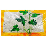 Wawasan Pharmaceuticals Boissons à base de plantes chinoises Yangqi Shi Crushed Chinese Herbal Medicine Grab & Go Chinese Herbal Medicine Shop Liste complète 瓦屋山药业中药饮片 阳起石 碎块 中药材抓配 中药材店铺大全