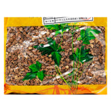 Wawasan Pharmaceuticals Chinese Herbal Drinks Ginger Herb Fruit Nuts Ginger Roast Chinese Herbal Medicine Grab & Go Chinese Herbal Shop Complete Guide瓦屋山药业中药饮片 姜草果仁 姜炙 中药材抓配 中药材店铺大全