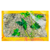 Wawashan Pharmaceuticals Chinese Medicine Drinks Sinew Grass Duan Chinese Herbal Medicine Grabbing and Dispensing Chinese Herbal Medicine Shop Complete List 瓦屋山药业中药饮片 伸筋草 段 中药材抓配 中药材店铺大全