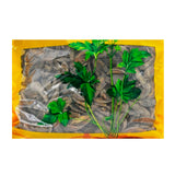 Wawashan Pharmaceuticals Chinese Medicine Drinks Curcuma longa (Yellow Silk) Tablet Chinese Herbal Medicine Grabbing and Dispensing Chinese Herbal Medicine Shop Complete List瓦屋山药业中药饮片 郁金（黄丝） 片 中药材抓配 中药材店铺大全