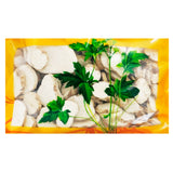 Wawasan Pharmaceuticals Chinese Herbal Drinks Smallpox Powder Tablets Chinese Herbal Medicine Grab & Go Chinese Herbal Medicine Shop瓦屋山药业中药饮片 天花粉 片 中药材抓配 中药材店铺大全