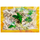 Wawasan Pharmaceuticals Chinese Medicine Drinks Lutefisk Root Tablet Chinese Herbal Medicine Grab & Go Chinese Herbal Medicine Shop Liste complète 瓦屋山药业中药饮片 芦竹根 片 中药材抓配 中药材店铺大全