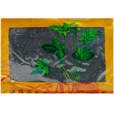 Wawashan Pharmaceuticals Chinese Herbal Drinks Wang Bu Liuxing Pure Chinese Herbal Remedy Chinese Herbal Medicine Shop 瓦屋山药业中药饮片 王不留行 净制 中药材抓配 中药材店铺大全