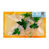 Wawashan Pharmaceuticals Chinese Medicine Drinks Seahorses Male and Female Pairs Chinese Herbal Medicine Grab and Go Chinese Herbal Medicine Shop Complete List 瓦屋山药业中药饮片 海马 公母配对 中药材抓配 中药材店铺大全