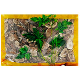 Wawasan Pharmaceuticals Chinese Medicine Drinks Figs Tablets Chinese Herbal Medicine Grab & Go Chinese Herbal Medicine Store瓦屋山药业中药饮片 无花果 片 中药材抓配 中药材店铺大全