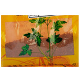 Wawasan Pharmaceuticals Chinese Medicine Drinks Ochre Ochre Crushed Chinese Herbs Grab & Go  瓦屋山药业中药饮片 赭石 碎块 中药材抓配