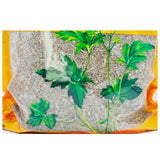 Wawashan Pharmaceuticals Chinese Medicine Drinks Sai Ku Jing Cao Duan Chinese Medicine Grabbing and Dispensing Chinese Herbal Medicine Shop Liste complète 瓦屋山药业中药饮片 赛谷精草 段 中药材抓配 中药材店铺大全