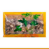 Wawashan Pharmaceuticals Médecine chinoise Boissons Comprimés de noix de bétel Médecine chinoise à base de plantes Grab & Go Magasin de médecine chinoise à base de plantes 瓦屋山药业中药饮片 槟榔 片 中药材抓配 中药材店铺大全