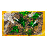 Wawashan Pharmaceuticals Chinese Medicine Tablets Scutellaria Scutellaria Tablets First Grade Tablets Chinese Herbal Remedies Chinese Herbal Medicine Shop瓦屋山药业中药饮片 黄芩片 一等片 中药材抓配 中药材店铺大全