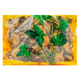 Wawasan Pharmaceuticals Chinese Medicine Drinks Tiger Balm Tablet Chinese Herbal Medicine Grabbing and Dispensing Chinese Herbal Medicine Store 瓦屋山药业中药饮片 虎杖 片 中药材抓配 中药材店铺大全