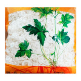 Wawashan Pharmaceuticals Chinese Herbal Drinks Tongcao Tablets Chinese Herbal Remedies Chinese Herbal Medicine Shop瓦屋山药业中药饮片 通草 片 中药材抓配 中药材店铺大全