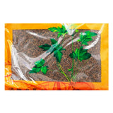 Wawasan Pharmaceuticals Chinese Herbal Drinks Salt Cuscuta Cuscuta Salt Roasted Chinese Herbal Grab & Go Chinese Herbal Shop Directory瓦屋山药业中药饮片 盐菟丝子 盐炙 中药材抓配 中药材店铺大全