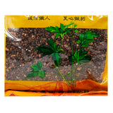 Wawasan Pharmaceuticals Chinese Herbal Drinks Salt Yizhi Ren Salt Roasted Chinese Herbal Medicine Grab & Go Chinese Herbal Medicine Shop Complete List瓦屋山药业中药饮片 盐益智仁 盐炙 中药材抓配 中药材店铺大全