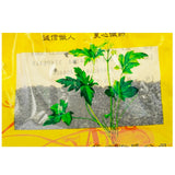 Wawasan Pharmaceuticals Herbal Drinks Natural Copper Crushed Herbs Chinese Herbal Medicine Shop 瓦屋山药业中药饮片 自然铜 碎块 中药材抓配 中药材店铺