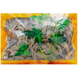 Wawasan Pharmaceuticals Chinese Herbal Drinks Hai Tong Pi Silk Chinese Herbal Medicine Grab & Go Chinese Herbal Medicine Shop瓦屋山药业中药饮片 海桐皮 丝 中药材抓配 中药材店铺大全