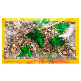 Wawasan Pharmaceuticals Chinese Herbal Drinks Cao Guo Ren Ren Chinese Herbal Medicine Grab & Go Chinese Herbal Medicine Shop Directory瓦屋山药业中药饮片 草果仁 仁 中药材抓配 中药材店铺大全