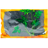 Wawasan Pharmaceuticals Chinese Medicine Drinks Seaweed Duan Chinese Herbal Medicine Grab & Go Chinese Herbal Medicine Store瓦屋山药业中药饮片 海藻 段 中药材抓配 中药材店铺大全