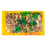 Wawashan Pharmaceuticals Herbal Drinks Vinegared Frankincense Vinegared Roasted Chinese Herbal Remedies Chinese Herbal Shop 瓦屋山药业中药饮片 醋乳香 醋炙 中药材抓配 中药材店铺大全