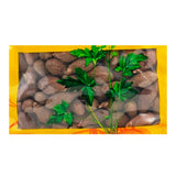 瓦屋山药业中药饮片 胖大海 净制 中药材抓配 中药材店铺大全