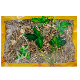 Wawashan Pharmaceuticals Chinese Herbal Drinks Patchouli Duan Chinese Herbal Medicine Shop瓦屋山药业中药饮片 广藿香 段 中药材抓配 中药材店铺大全