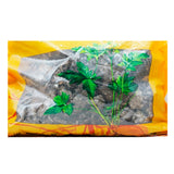 Wawasan Pharmaceuticals Chinese Herbal Drinks Lupine Hive Crushed Chinese Herbal Medicine Grab & Go Chinese Herbal Shop Book 瓦屋山药业中药饮片 露蜂房 碎块 中药材抓配 中药材店铺大全