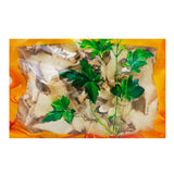 Wawashan Pharmaceuticals Chinese Herbal Drinks Baihe Tablets Chinese Herbal Medicine瓦屋山药业中药饮片  白及 片一等 中药材抓配 中药材店铺大全