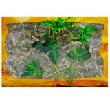 Wawashan Pharmaceuticals Chinese Herbal Drinks Ling Xiang Cao Duan Chinese Herbal Medicine Shop 瓦屋山药业中药饮片 灵香草 段 中药材抓配 中药材店铺大全