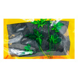 Wawashan Pharmaceuticals Chinese Medicine Drinks Rehmannia Rehmannia Tablets First Class Chinese Herbal Remedies Chinese Herbal Medicine Store瓦屋山药业中药饮片 熟地黄 片一等 中药材抓配 中药材店铺大全