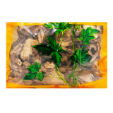 Wawashan Pharmaceuticals Chinese Medicine Drinking Slices Duhuo Pieces of Chinese Herbal Medicine Chinese Herbal Medicine Store瓦屋山药业中药饮片 独活 片一等 中药材抓配 中药材店铺大全