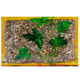 Wawasan Pharmaceuticals Chinese Medicine Drinks Vinegared Bei Chai Hu Vinegared First Class Chinese Herbal Medicine Chinese Herbal Shop瓦屋山药业中药饮片 醋北柴胡 醋炙一等 中药材 中药材店铺大全