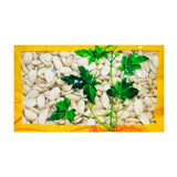 Wawasan Pharmaceuticals Chinese Herbal Drinks Making fire peach kernel Chinese Herbal Medicine Grab & Go Chinese Herbal Medicine Store 瓦屋山药业中药饮片 燀桃仁 仁 中药材抓配 中药材店铺大全